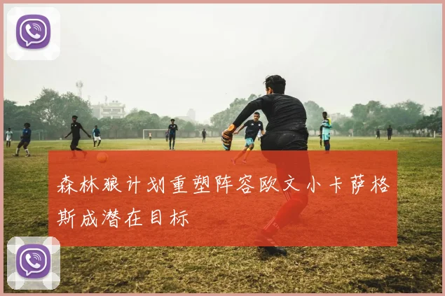 森林狼计划重塑阵容欧文小卡萨格斯成潜在目标